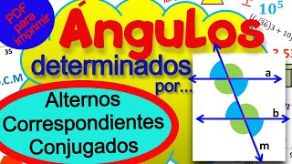 Ángulos determinados por un par de rectas paralelas y una transversal [upl. by Gardner856]