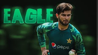 SHAHEEN AFRIDI BALLING  WICKETS  MUHAMMAD HARIS VS SHAHEEN  BABAR AZAM VS SHAHEEN  AFRIDI YT [upl. by Ronoc]