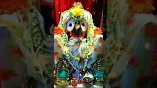 Jagatara naatha jagannath ❤❤jayjagannathpuri youtubeshort [upl. by Leksehc]