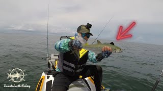 🐟Jetski FISHING🍛 Chesapeake Bay  CATCH CLEAN amp COOK [upl. by Anairo]