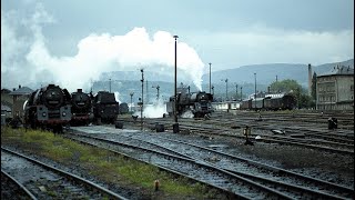 Saalfeld am 1591979 2Bilder vom Rundgang vormittags im Gleisbereich am Bw mit Tönen in mono [upl. by Enelrak]