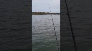 Trolling for Bass on Lake Lanier in November [upl. by Salokkin870]