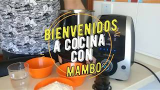 RECETA MAMBO Masa de Pizza Integral Robot de Cocina Cecotec [upl. by Nirhtak]