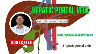 Hepatic Portal Vein [upl. by Lonna]