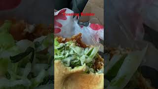 Reviewing Roaming Rooster Chicken Sandwich dayhikingandherpingdudes [upl. by Nirda507]