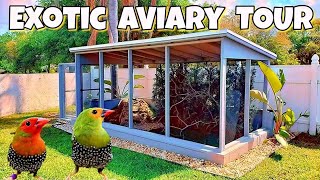 Bird Aviary [upl. by Gipsy]