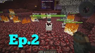 Minecraft Stoneblock  2  Hell Chickens [upl. by Aikenahs839]