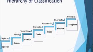 Biology Grade 9  Diversity of Living Organisms  Bio Diversity [upl. by Gannon873]