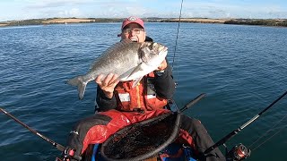 GILTHEAD BREAM FISHING  FISH OF A LIFETIME [upl. by Dachy895]