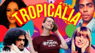 TROPICÁLIA  Resumo de Literatura para o Enem [upl. by Mylander]