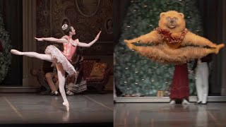 The Nutcracker  Toys Dances Boston Ballet ABTBaryshnikov Berlin Staatsballet [upl. by Yaned]