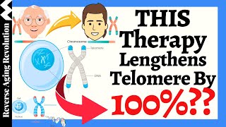 THIS Therapy Lengthens Telomere By 100  Reported By A 83 Year Old Doctor [upl. by Di]