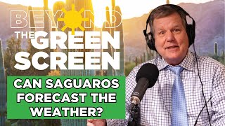 Beyond the Green Screen Podcast Can saguaros forecast the weather [upl. by Saw]