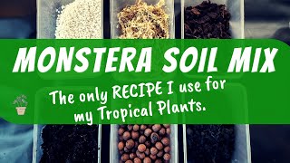 My Personal AROID SOIL MIX RECIPE  for thriving Monsteras [upl. by Diskson]