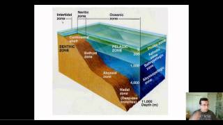 Ocean Life Part 2 Oceanic Environment Zones Review [upl. by Narat313]