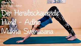 Adho Mukha Svanasana der Herabschauende Hund  Anleitung [upl. by Pelagi729]