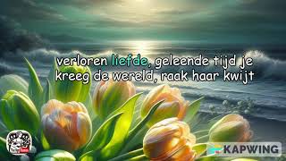 Het Beste Moet Nog Komen Song by Pommelien Thijs Dutch Lyrics [upl. by Nailimixam499]