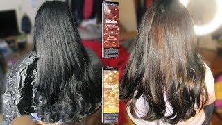 Can you dye over dyed black hair using Loreal Hi color Browns amp Blondes [upl. by Sams]