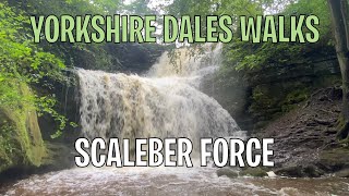 Scaleber Force Waterfall in the Yorkshire Dales amp a 3 mile walk to the scenic Warrendale Knotts [upl. by Aridatha]