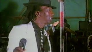 Jenaguru Festival 1993 ft Thomas Mapfumo Stella Chiweshe Safirio Madzikatire plus many more [upl. by Aufa736]