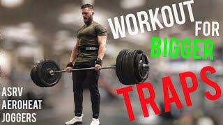 Workout For Bigger Traps  Heavy Rack Pulls Deadlift PR ASRV [upl. by Launame46]