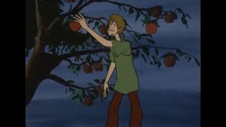 The New ScoobyDoo Movies Eating Apples [upl. by Turpin742]