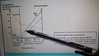 SVT 2Biof correction de lexercice les voies métaboliques des levures [upl. by Mansfield]