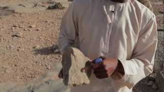 Check out Incredible Fossils in Musandams Mountains Oman [upl. by Ringler]