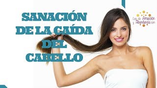 Cómo Detener La Caída del Cabello Sanación y Biodescodificación [upl. by Nosnev766]