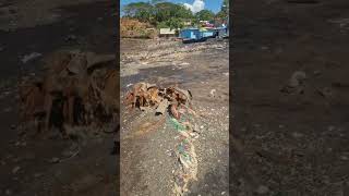 Mayotte la plage de Koungou catastrophe [upl. by Franci]