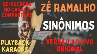 Zé Ramalho  Sinônimos  karaokê versão original ao vivo [upl. by Mook756]