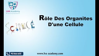 ✅ Science  Rôle Des Organites Dune Cellule  2ème année [upl. by Hendrik]