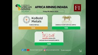 Mining Indaba Coverage Africa GreenCo Special [upl. by Annahsat]