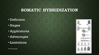 Somatic Hybridization in Plants  Plant tissue culture  AZ concepts guide [upl. by Turnheim519]