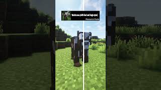 Best Minecraft Texture packs Pt 14 minecraftshorts minecraft [upl. by Elyn2]