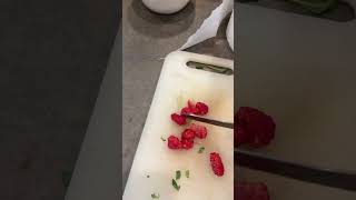 Making Salad ASMR pets fosterlove yourcat puppy fosterlife youtuber asmr healthy mice nach [upl. by Llewsor]