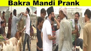 Goat Markete Prank  Allama Pranks  Totla reporter  Prank  Lahore TV [upl. by Orimlede]