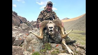 Hunting Altay argali and ibex in Mongolia July 2019 [upl. by Ennaxxor837]