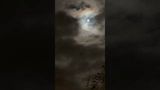 🌙 Beaver Moon timelapse moonscape night sky [upl. by Ettigdirb519]