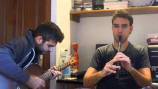 Muiñeira de Chantada Galician tune on low whistle and guitar [upl. by Eimmak365]