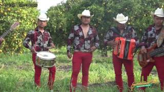 Muchacho Alegre Caciques de San Luis Potosí  Video Official [upl. by Sverre953]