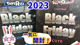 【ブラックフライデー 2023】３９９９円の福袋一気に開封だ！！ トイザらス Black Friday おたのしみ袋 COOL クール CUTE キュート2023 福袋 限定【トイザらス福袋開封】 [upl. by Belle]