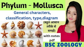 phylum mollusca Mollusca phylum bsc 1st year zoology knowledge adda lion batch characters type [upl. by Maltz]