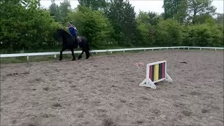 Frieser Esper og Mie Luna AMAZING FRIESIAN LEARN HORSEBACK ARCHERY [upl. by Allecram551]