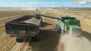 Canadian Food Grains Bank harvest in Granum Alberta [upl. by Annetta181]