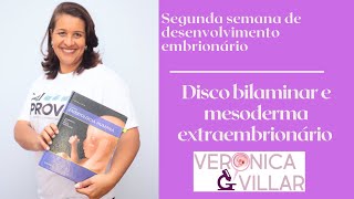 Segunda semana de desenvolvimento embrionário Disco bilaminar e mesoderma extraembrionário [upl. by Cynth]