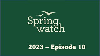 Springwatch 2023 Episode 10 [upl. by Anavahs]