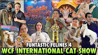 FUNTASTIC FELINES 4  WCF INTERNATIONAL CAT SHOW  ESTANCIA CAPITOL COMMONS  JUNE 08 2024 [upl. by Maya]