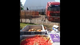 Eurocks 2015  4 tonnes de déchets alimentaires transformés en électricité [upl. by Dehsar645]