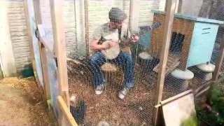 Chicken Reel Clawhammer [upl. by Jerusalem]